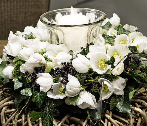 Christmas Rose used as a cut flower with ivy on a woven wreath in the living room around Christmas time
